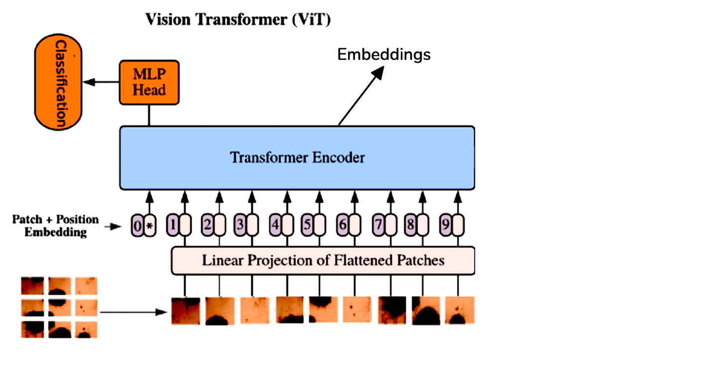 Vision Transformer